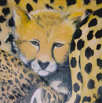 Kind Gepard, 2005