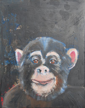 Schimpanse, 2014